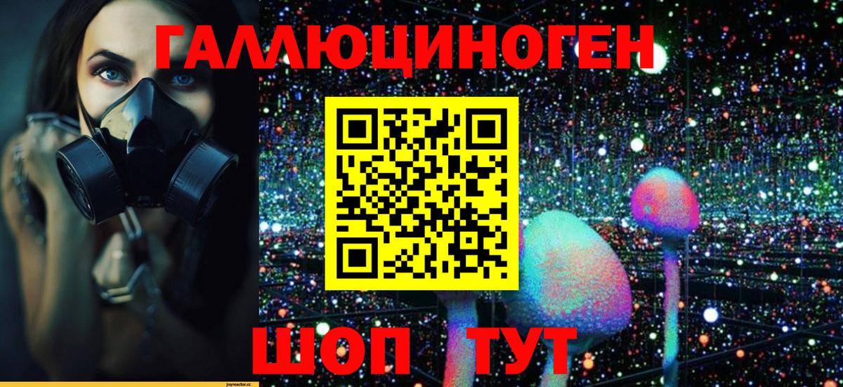 Галлюциногенные грибы GOLDEN TEACHER Пушкино