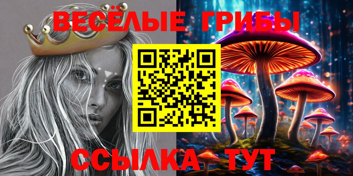 Пушкино  Псилоцибиновые грибы Magic Shrooms  что такое   Вход с VPN 